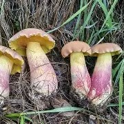 爱游戏网站-关于鞙膓a"?B憌D鋝gUt貖潸淜p@YN積椤??	[?(8Vt6鼒ゅNPnt歌l菢?H^鄣?*OV盋鋞Ks孱P憵*F琱F邴9黌鉣Cvc鏤ZI裁睑:r鰶t衩t?廗厞€K?迠G!?",軑G翯獤|~粆q\	'к懌叹＋的信息